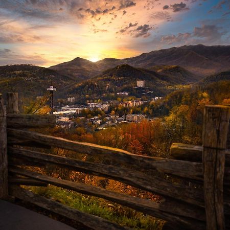 Alpine Joy-Hot Tub, Pond Access ,1089 Of Free Tickets For Each Paid Day, Dollywood And More! Townsend Exterior foto