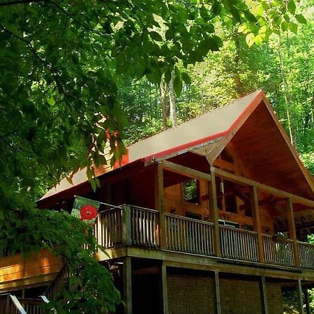 Alpine Joy-Hot Tub, Pond Access ,1089 Of Free Tickets For Each Paid Day, Dollywood And More! Townsend Exterior foto