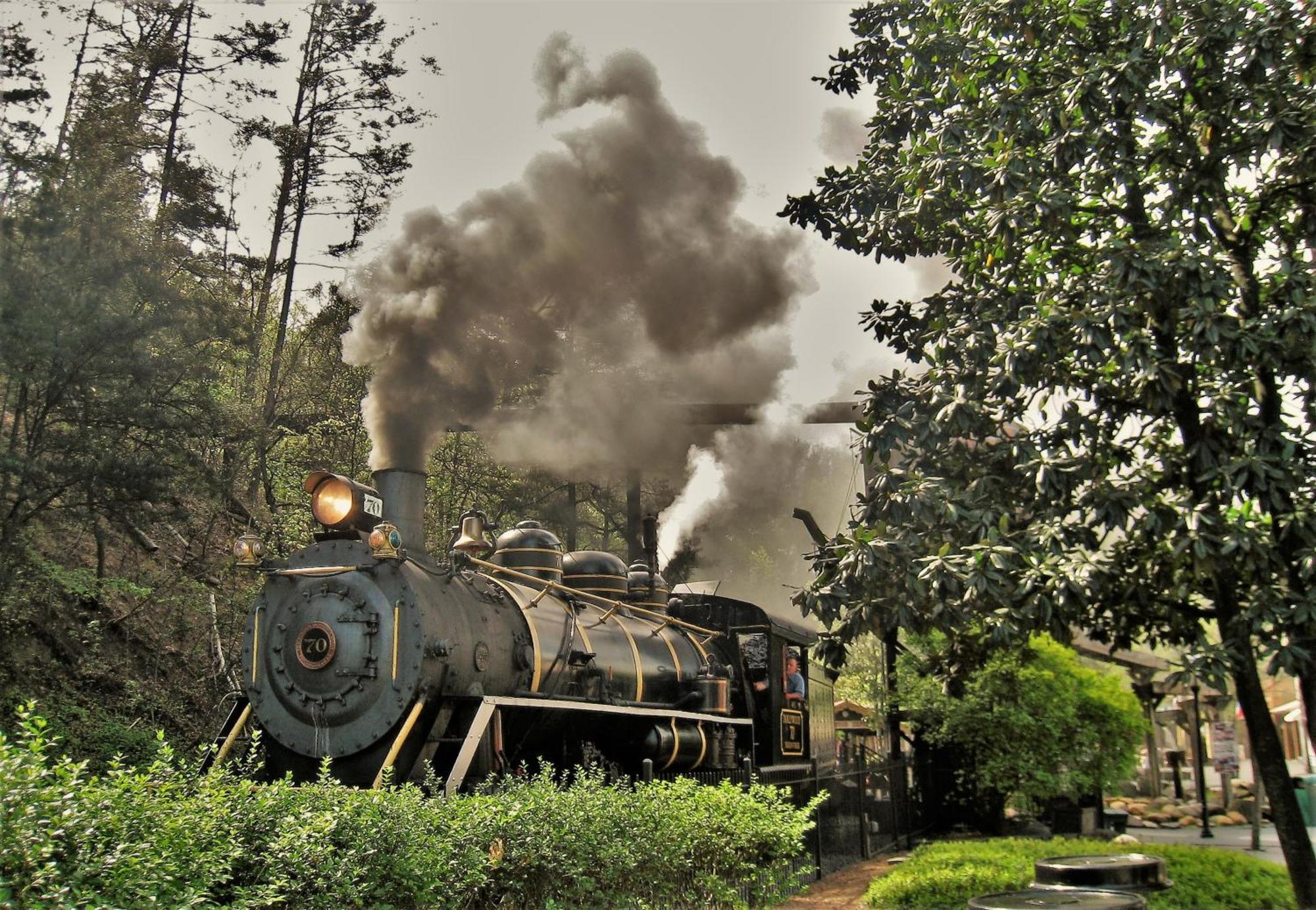 Alpine Joy-Hot Tub, Pond Access ,1089 Of Free Tickets For Each Paid Day, Dollywood And More! Townsend Habitación foto