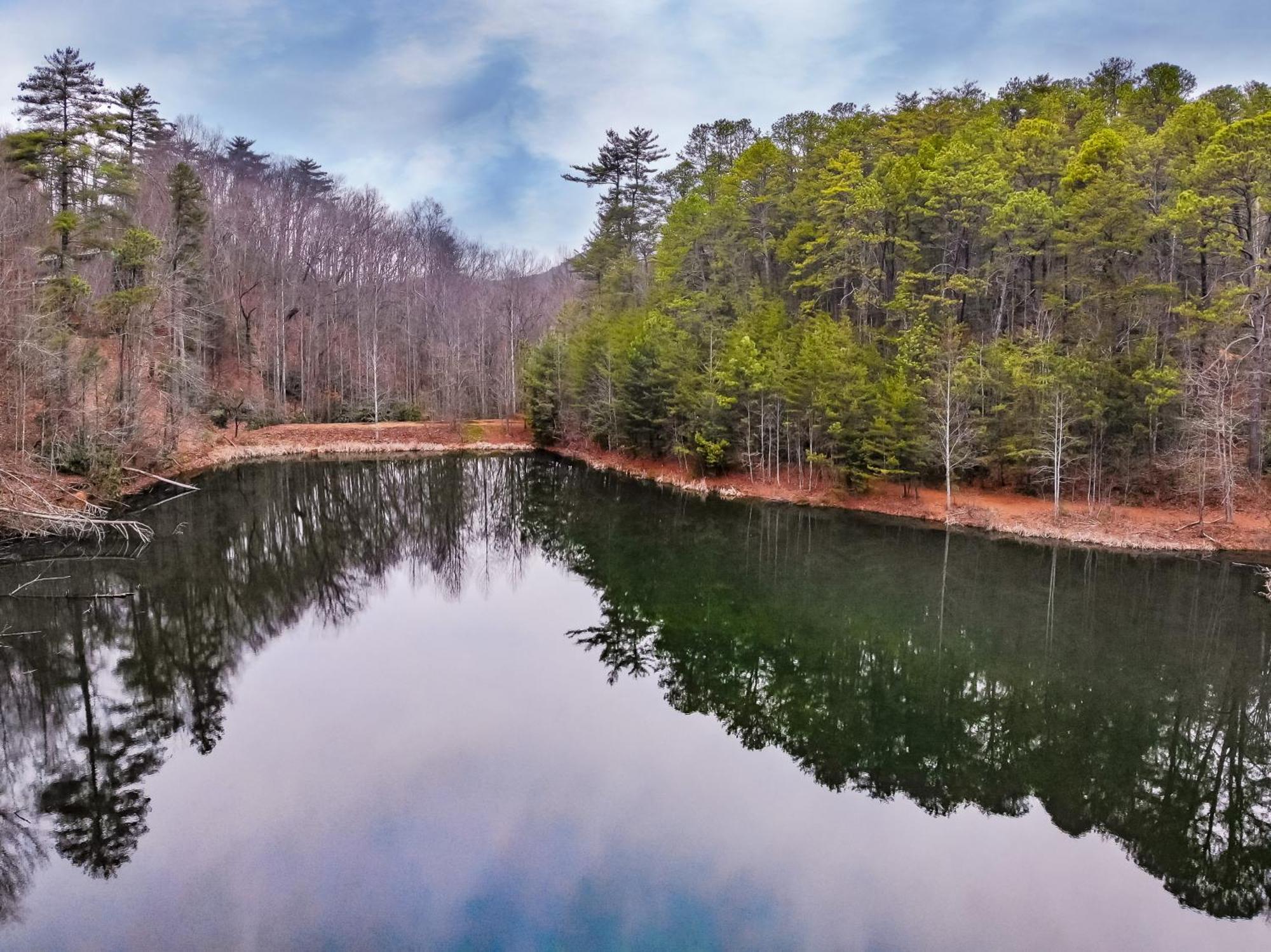 Alpine Joy-Hot Tub, Pond Access ,1089 Of Free Tickets For Each Paid Day, Dollywood And More! Townsend Habitación foto