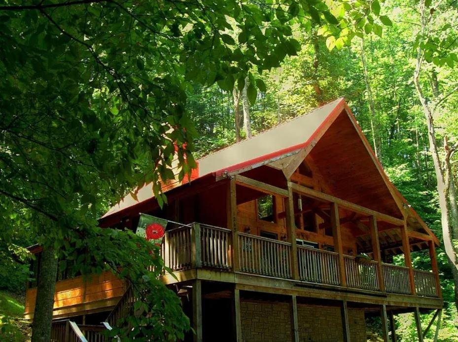 Alpine Joy-Hot Tub, Pond Access ,1089 Of Free Tickets For Each Paid Day, Dollywood And More! Townsend Exterior foto
