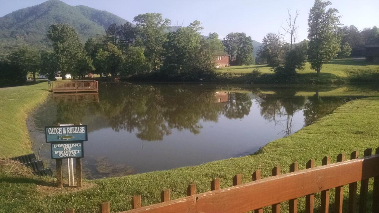 Alpine Joy-Hot Tub, Pond Access ,1089 Of Free Tickets For Each Paid Day, Dollywood And More! Townsend Exterior foto